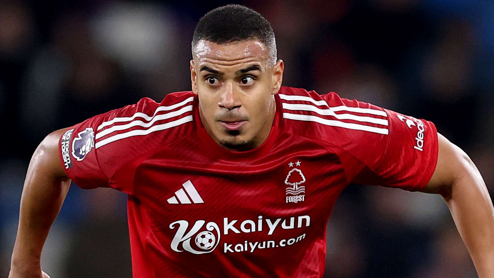 就會本末倒 就會本末倒